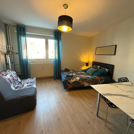 Grand Proche Du Centre Appartement Straatsburg