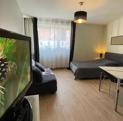 Apartment Grand Proche Du Centre