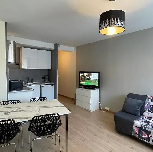 Grand Proche Du Centre Apartment *